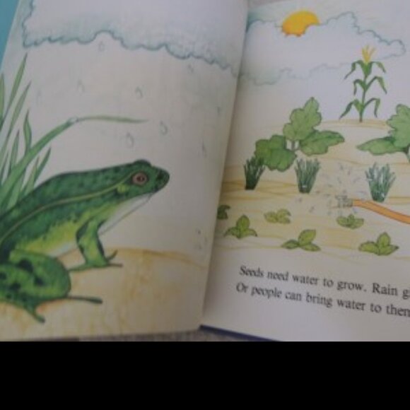 All About Seeds by Susan Kuchalla (Author) + Jane McBee (Illustrator) 1.1.96 - Picture 2 of 6
